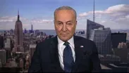 Schumer defends voting with GOP saying shutdown is worse