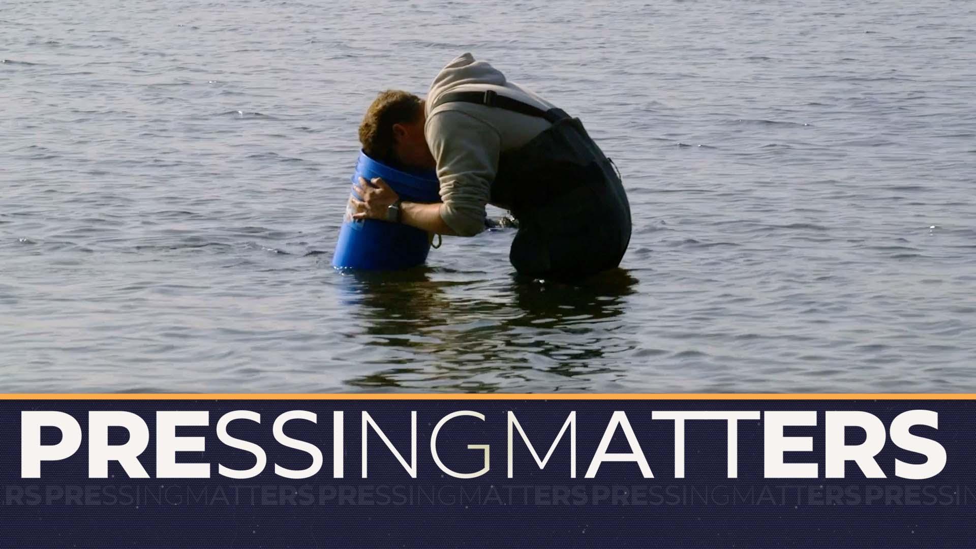 Invasive Species and what to expect on Election Day, coming up on Pressing Matters