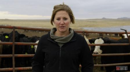 Video thumbnail: What If Innovator Insights: Cassie Lapeseotes