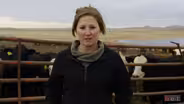 Innovator Insights: Cassie Lapeseotes