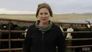 Innovator Insights: Cassie Lapeseotes