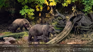 Alaska: From Denali to Juneau
