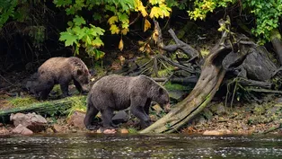 Alaska: From Denali to Juneau