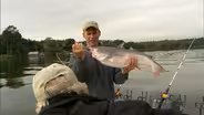 Trolling for Catfish