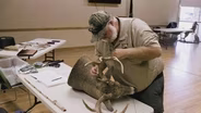 Fishing Techniques, Deer Scores, Hunting Season Research