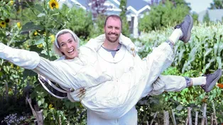 Honey Harvest: Pulling Frames