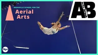 Nashville School for the Aerial Arts