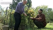 Good Mind Seeds
