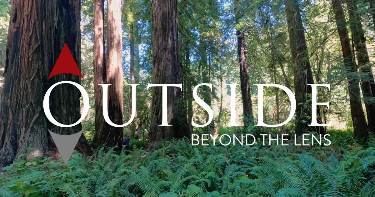 Outside Beyond the Lens | California North Coast Redwoods | Season 2