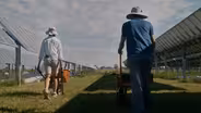 Jack's Solar Garden