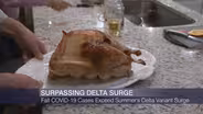 Illinois Surpasses Delta Variant Surge Before the Holidays