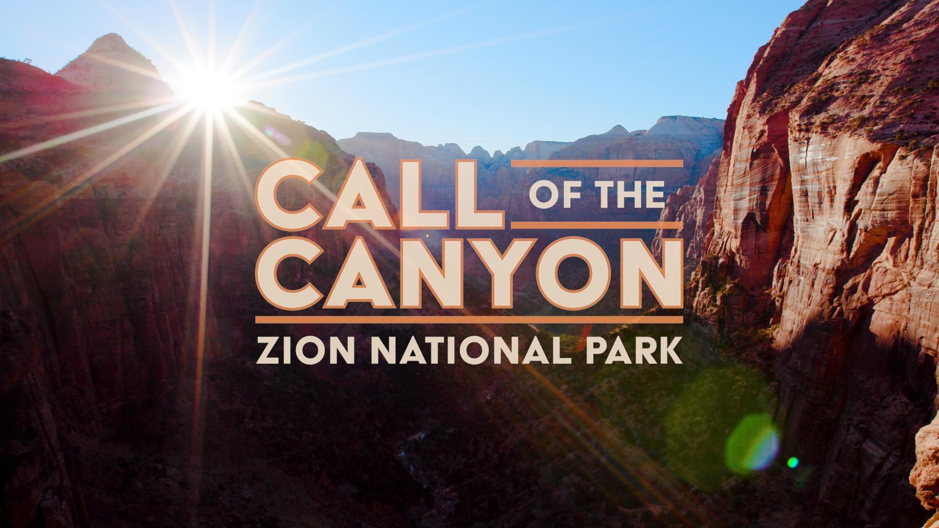 For 100 years, Zion National Park has captured the hearts of visitors and artists alike.