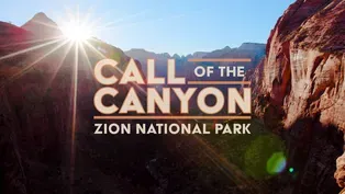 Call of the Canyon: Zion National Park