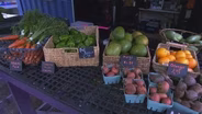 Austin Residents Get a Lesson in Urban Farming