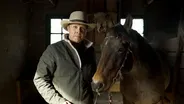 Horse Power