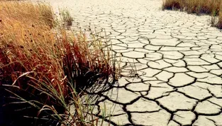 Using Technology to Cope With Drought