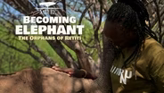 TRAILER | NAAT 4411 | Becoming Elephant | The Orphans of Reteti | Graduation