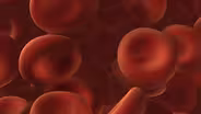 The Heart: Blood Basics