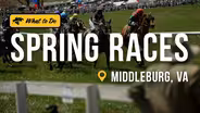 The Middleburg Spring Races are a Century Old Tradition in Virginia