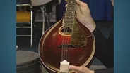 Appraisal: Gibson Style H-2 Mandola, ca. 1918