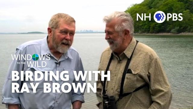 Windows to the Wild | Birding With Ray Brown