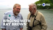 Birding With Ray Brown