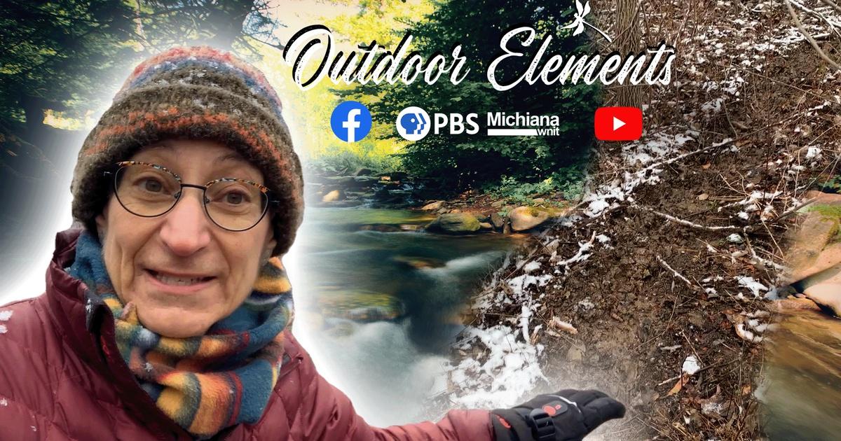 Outdoor Elements | Finding Signs of Animals in Winter | PBS