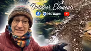 Finding Signs of Animals in Winter
