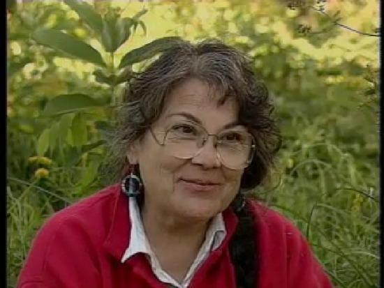 Nokomis: Voices Of Anishinabe Grandmothers