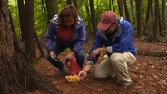 Farms and Foraging