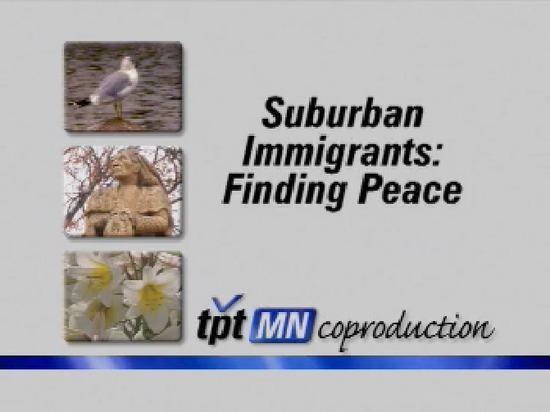 Suburban Immigrants: Finding Peace