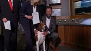 Treeing Walker Coonhound Becomes Kentucky’s Official State Dog