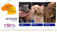 05/29/2025 | Lainey, Sookie, and Stanley | Marks Furry Friends Extra