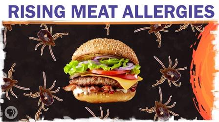 Video thumbnail: Hot Mess Could climate change make you allergic to meat?