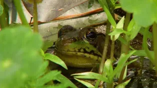 Transforming a traditional landscape