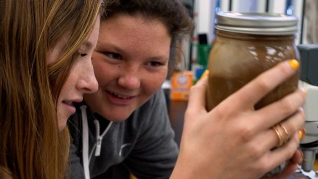 Agricultural Curriculum