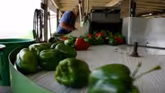 Ending of two food programs will hit NJ residents, farmers