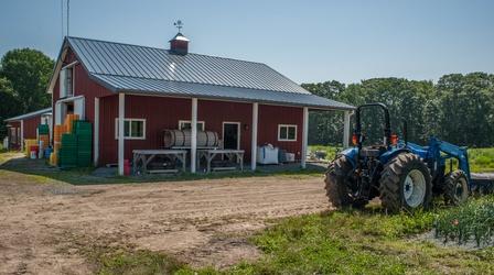 Video thumbnail: Harvesting Rhode Island Big Train Farm and Jaswell's Farm