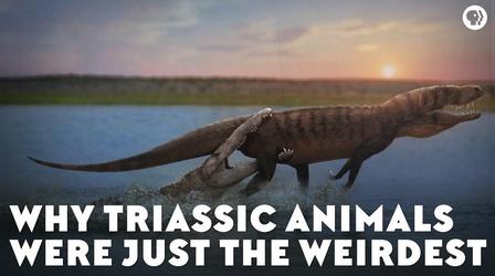 Video thumbnail: Eons Why Triassic Animals Were Just the Weirdest