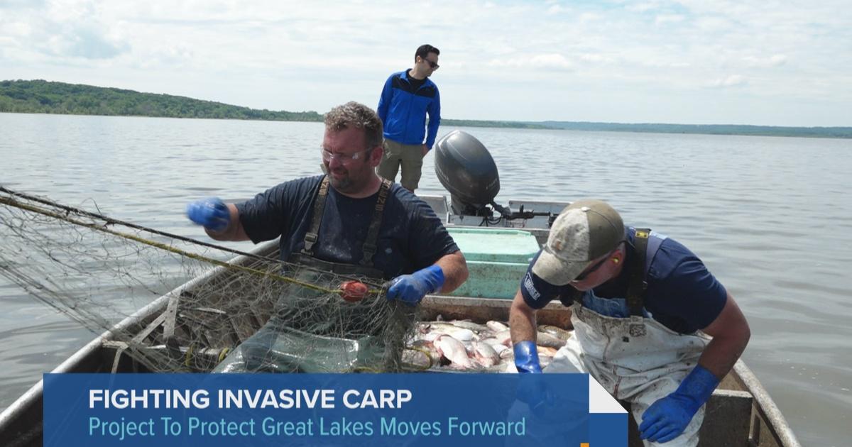 Chicago Tonight | Illinois Project Aims to Stop Invasive Carp | Season ...