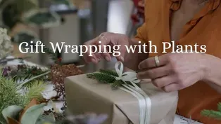 Gift Wrapping with Plants