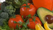 Botany: Edible Plants