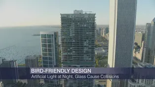 Illinois Bird Safe State Buildings Act Signed into Law