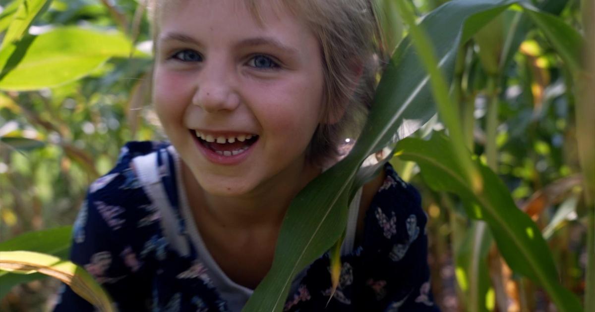 Hope Is Here Chicken Strong PBS