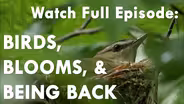 Birds, Blooms and Being Back