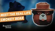 How Smokey Bear Became an Icon and a Real Life Neighbor in Washington DC