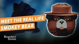 How Smokey Bear Became an Icon and a Real Life Neighbor in Washington DC