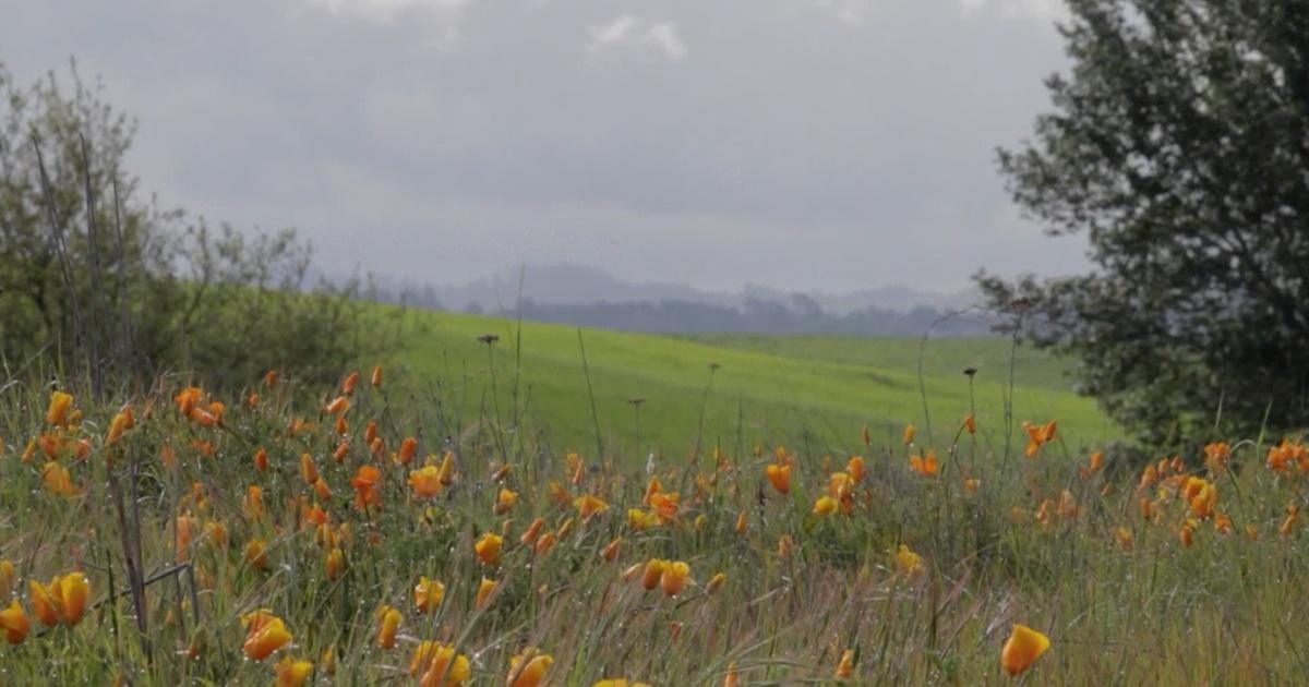 Bay Area Bountiful Bay Area Bountiful Land Preservation Season 1 PBS