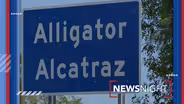 Deportations Begin From Alligator Alcatraz