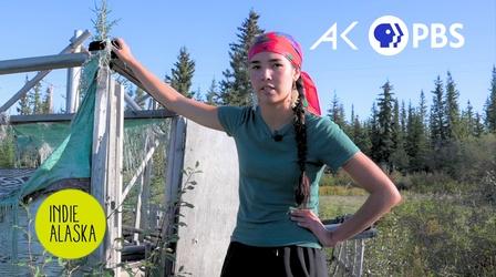 Video thumbnail: Indie Alaska Rivers Without Fish: An Activist’s Mission to Restore Her Yukon River Community | INDIE ALASKA